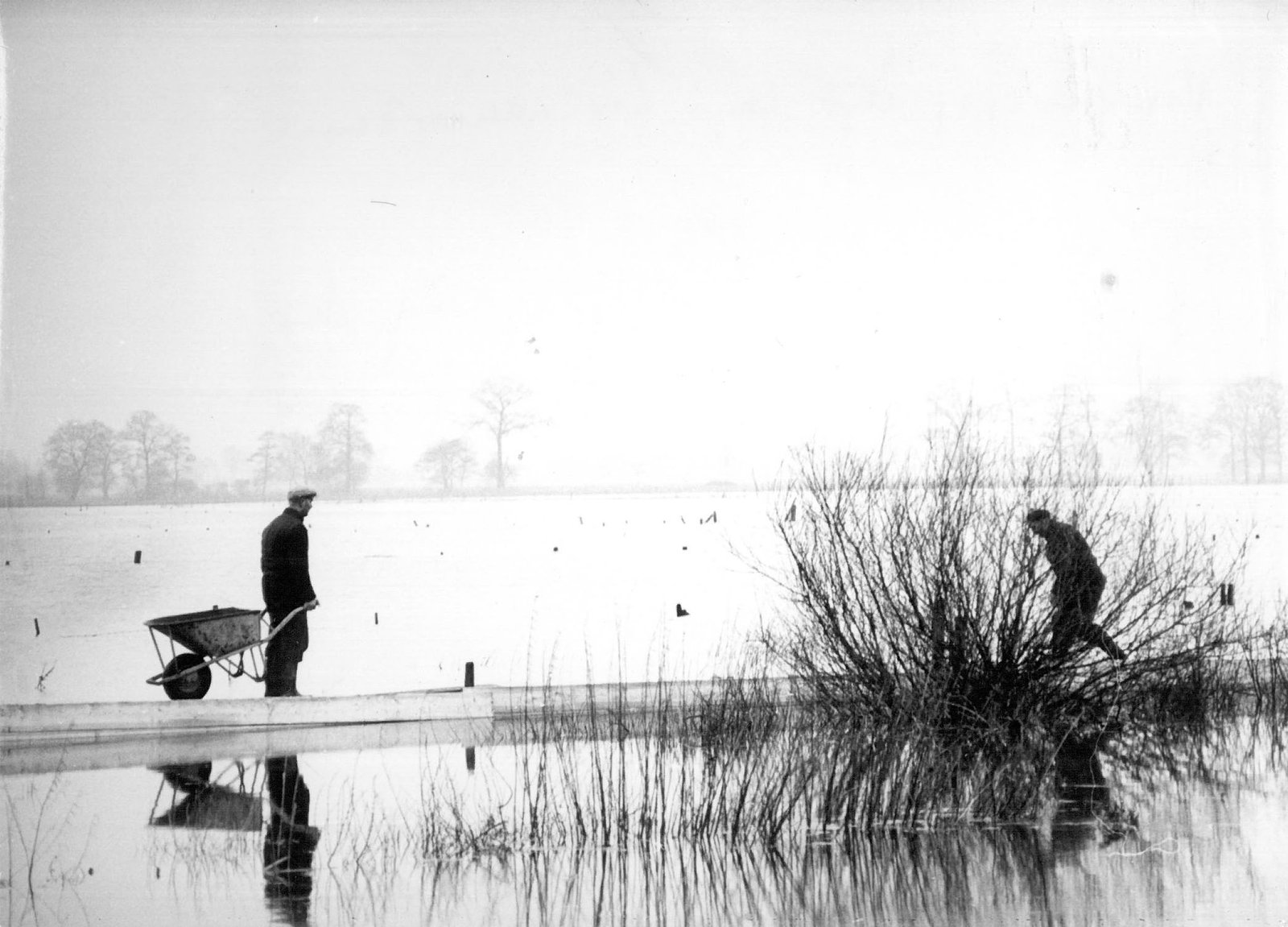 category_image