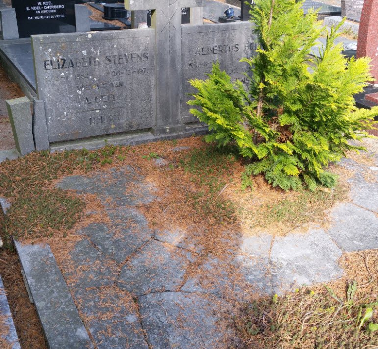 Cemetery register gallery image